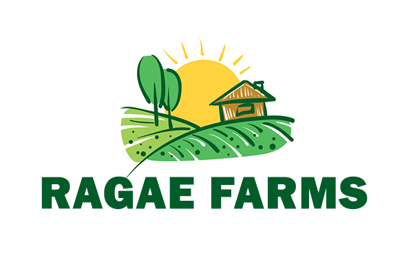 RAGAE FARMS - SOLAR PUMPS