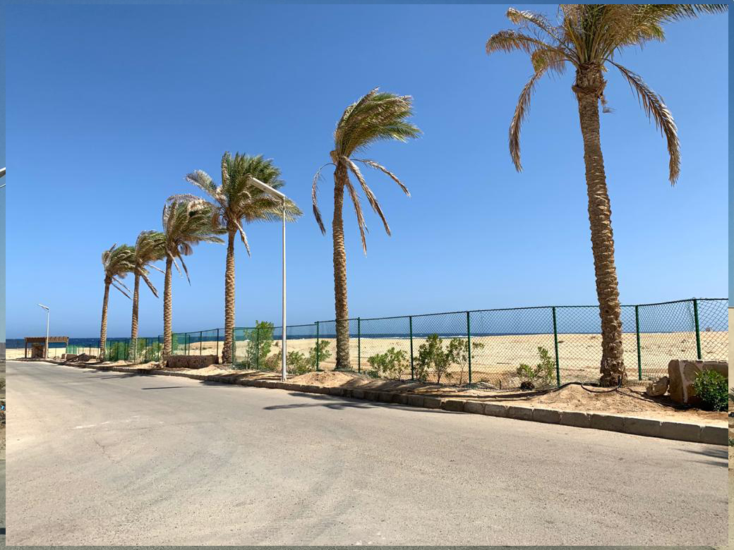 OUD Egypt - Supply & Apply, photo 6