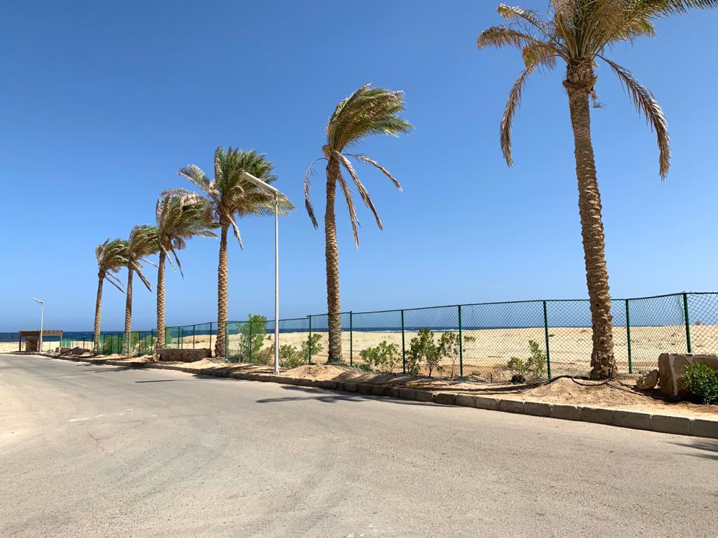OUD Egypt - Supply & Apply, photo 11